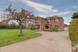 Frontal- click for photo gallery